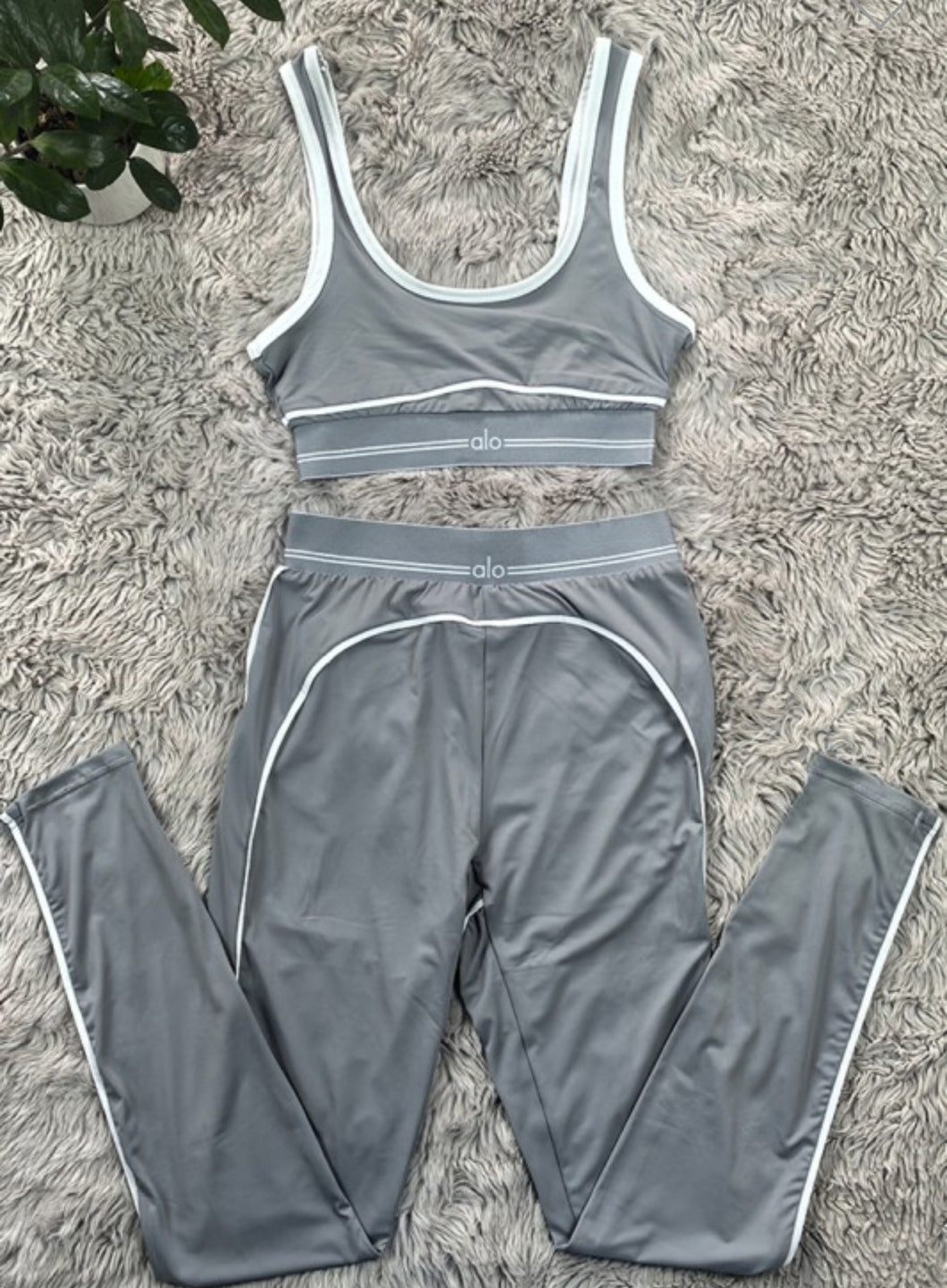 Gray gym set